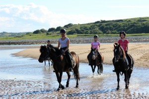 Island View Riding Stables